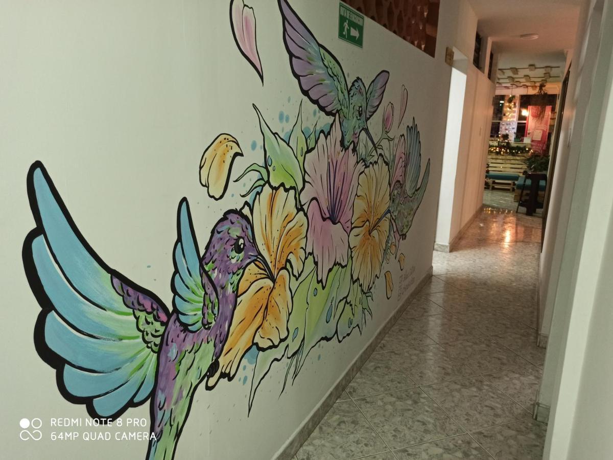 Coco Guest house Medellin